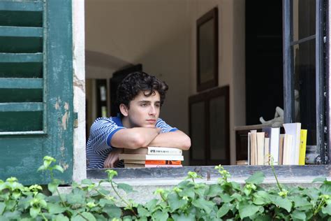 timothee chalamet naked porn|Call me by your name extended porn sex scene Chalamet